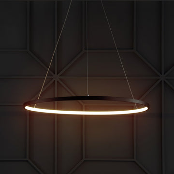 Brice  Modern Contemporary Iron Integrated LED Pendant